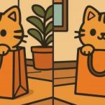 Test del QI: trovare 3 differenze in un’immagine di un